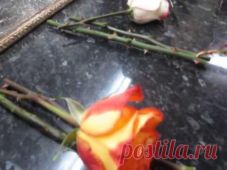 Розы можно размножать методом Бурито в любое время года!.
