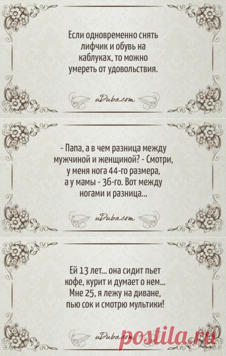 20+ самых смешных открыток с убойным юмором | uDuba.com