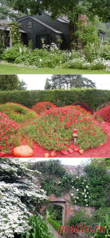 Монохромный в ландшафтном дизайне