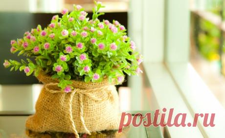 Цветы сами по себе способны украсить любое помещение. А если дополнительно декорировать горшки, вазы или другую емкость, в которую растения посажены, они могут стать главным акцентным пятном интерьера. Декорировать их можно самостоятельно. Предлагаем вашему вниманию 10 оригинальных идей по украшению домашних растений.