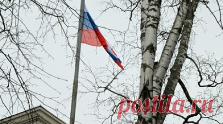 Посольство России в Финляндии выразило соболезнования пострадавшим при стрельбе. Посольство России в Финляндии выразило соболезнования пострадавшим в результате стрельбы в школе в финском городе Вантаа. Читать далее