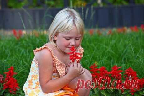 Детки