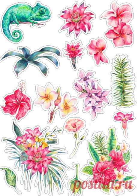 (115) Pinterest