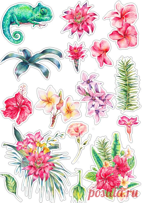 (115) Pinterest