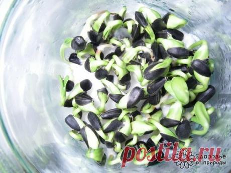 "Встретил я недавно своего давнего друга, да вначале и не узнал его.

Человеку за сорок, а на лице - ни морщинки, кожа чистая, розовая.

Как в 20 лет. 

Потом разглядел, обнялись, разговорились и рассказал тот свою историю: несколько лет назад поехал в своё родное село и показали ему мужичка и спросили, сколько тому лет на вид: "60 лет", - отвечаю.

Ан нет, говорят, - 97 лет ему!"

И свели с тем мужичком-дедком. Дедок же рассказал свою историю: 

"В 40 лет поставили мне ди...