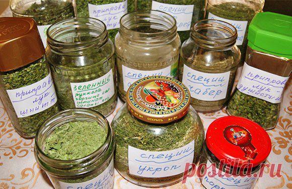 (+1) тема - Зелёная аптека. Часть 2 | 6 соток