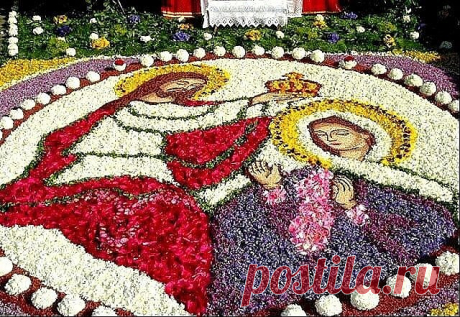 (82) Одноклассники