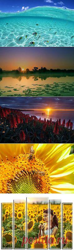 Одноклассники