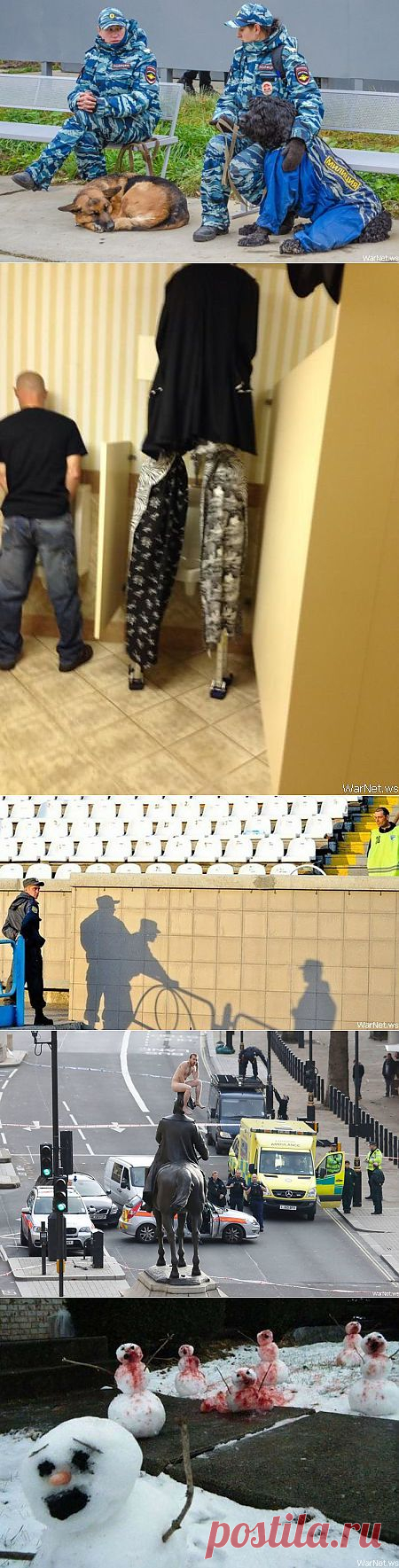 WarNet.ws: Подборка смешных, не очень и просто красивых фотографий (104 фото)