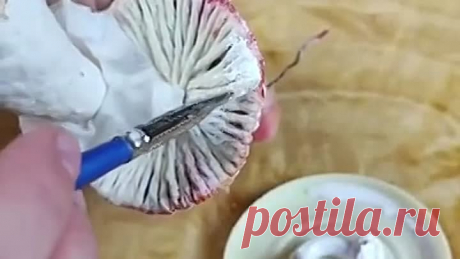 aefb1cf4d8e37b4410dc4db5e5ad141e_243520_1671919149.mp4