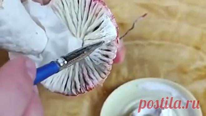 aefb1cf4d8e37b4410dc4db5e5ad141e_243520_1671919149.mp4