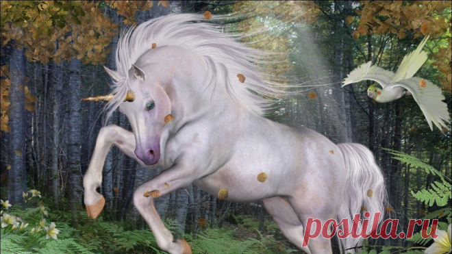 unicorn-09.jpg (1920×1080)