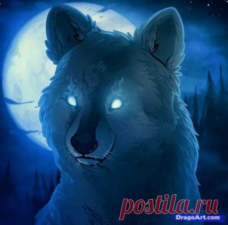 Поэтапное рисование - голова волка / Уроки рисования для начинающих карандашом, поэтапный метод / КлуКлу. Рукоделие - бисероплетение, квиллинг, вышивка крестом, вязание