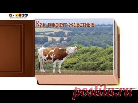 Как говорят животные (звуки животных) - развивающее видео для детей (1) - YouTube
