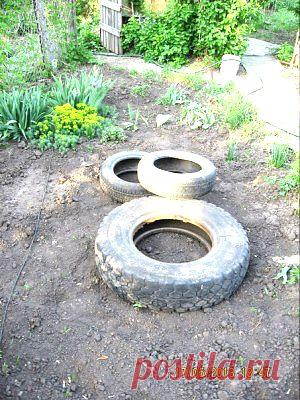 Заботимся о сердце | Советы Народной Мудрости