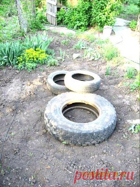 Заботимся о сердце | Советы Народной Мудрости