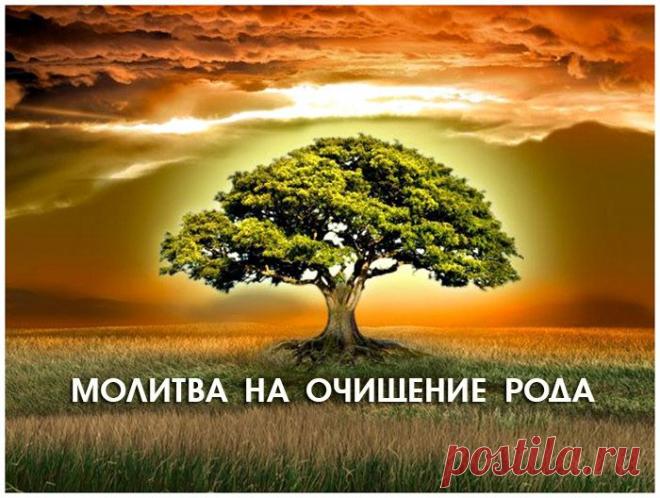 МОЛИТВА на очищение рода 
Очистить карму можно, читая особую молитву. Молитва на очищение рода снимает «кармические» или родовые проблемы нескольких поколений, такие как внутриутробная порча или родовое проклятие. Кликайте на фото, чтобы прочитать ⤴