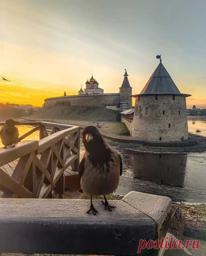 Псков