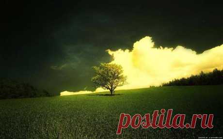 природа