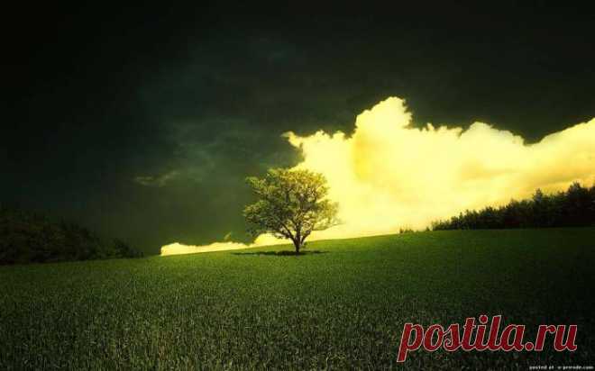 природа