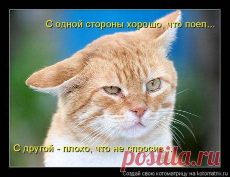 Мысли вслух )))