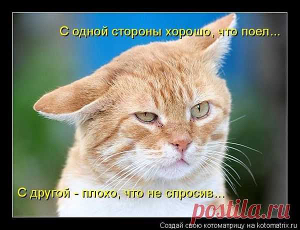 Мысли вслух )))