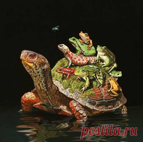 Рисунки животных от Лизы Эриксон