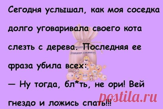 Однокласники