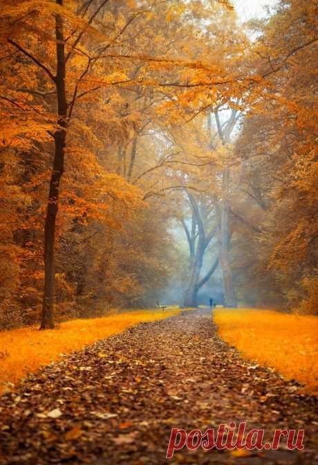 Найдено на сайте naturesdoorways.tumblr.com.