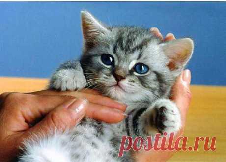 Мой Мир@Mail.Ru