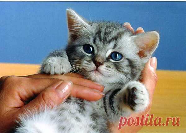 Мой Мир@Mail.Ru