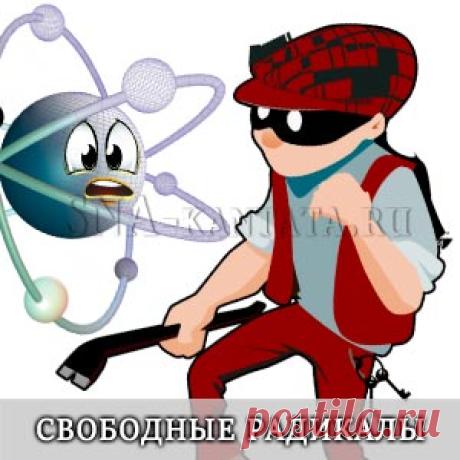 Что такое свободные радикалы в организме. Антиоксиданты — не панацея