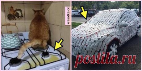 Сладкая месть:10 случаев, когда красиво проучили своих обидчиков
Порой жизнь бывает несправедливой. Нужно прощать людей, карма обязательно накажет обидчиков и восстановит равновесие в жизни. Это лишь вопрос времени. А в этой подборке мы собрали примеры мести тех, кто не стал ждать справедливости. «Свадебное платье-это все что, осталось после развода с бывшей женой.Я сделал из него гамак» Обычно женщины забирают любимые футболки бывших возлюбленных […]
Читай дальше на сайте. Жми подробнее ➡