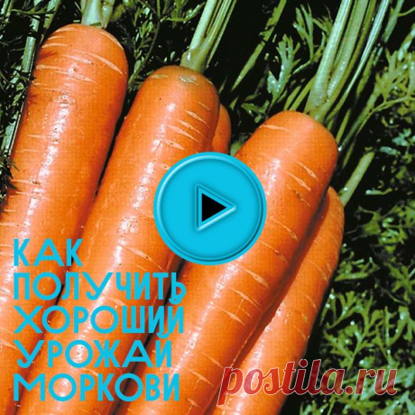 Дневник Valya6827