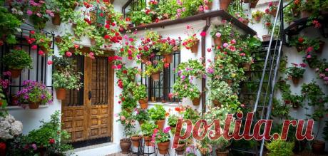 patios cordobeses interiores bonitos - Buscar con Google