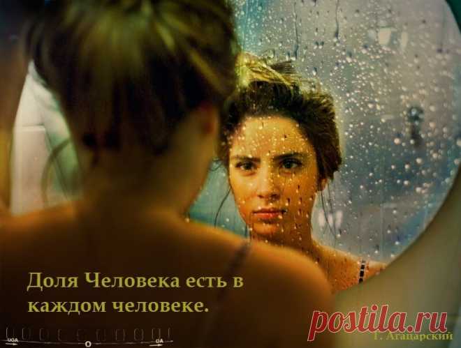 Афоризмы в картинках | Авторские Афоризмы | Яндекс Дзен