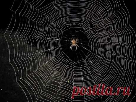 Несмотря на то, насколько вам сейчас трудно, помните, что чудеса бывают!