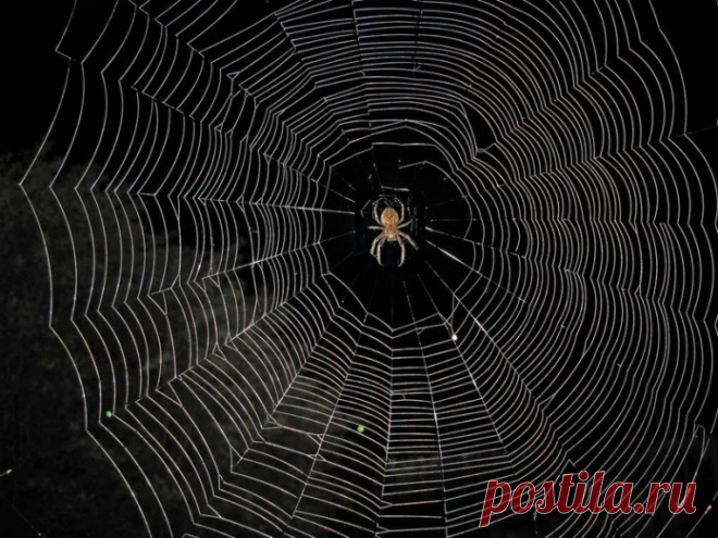 Несмотря на то, насколько вам сейчас трудно, помните, что чудеса бывают!