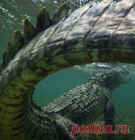 хх