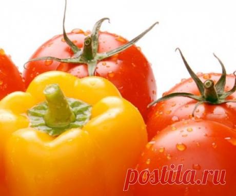 Блог сайта «Дачный участок»