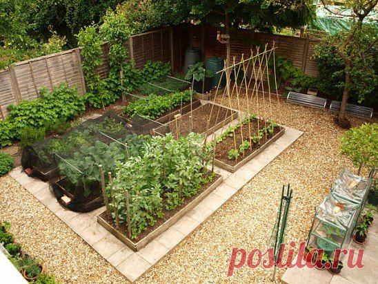 СОВЕТЫ ОГОРОДНИКАМ!!!