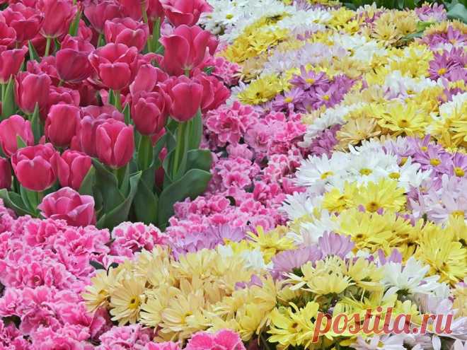 (1) Валентина Гатицкая