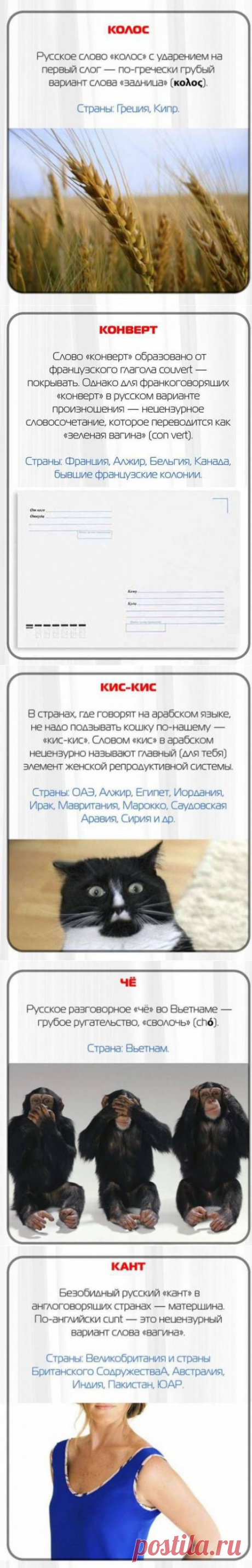 10 Cлов, которые лучше не произносить за рубежом