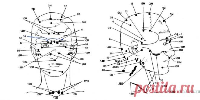 Биологически активные точки на лице и голове | Лучшее из Тайланда!