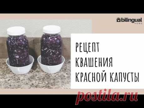 📝РЕЦЕПТ КВАШЕНИЯ КРАСНОЙ КАПУСТЫ