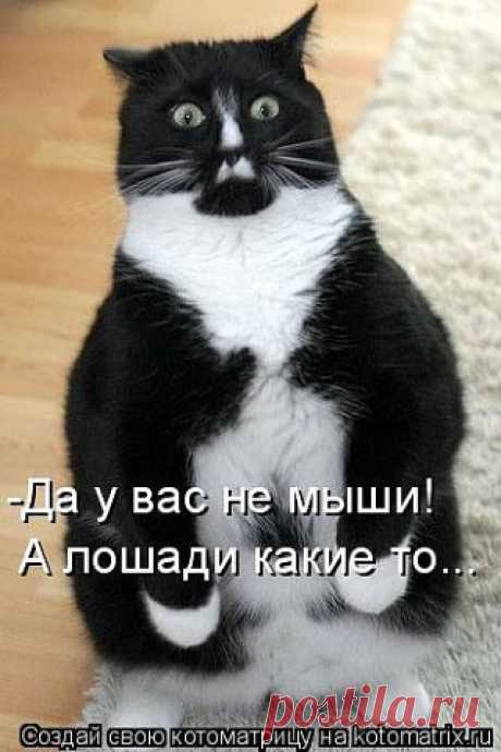 МУП Североморские Теплосети
