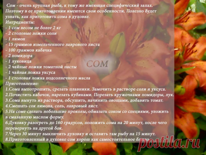 Рецепты - Сом