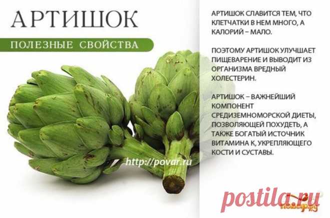 Артишок полезные свойства