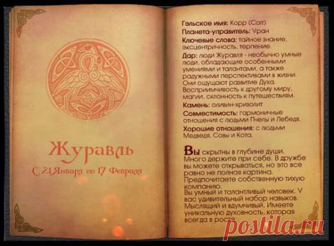 Узнайте, какое вы животное по кельтскому гороскопу