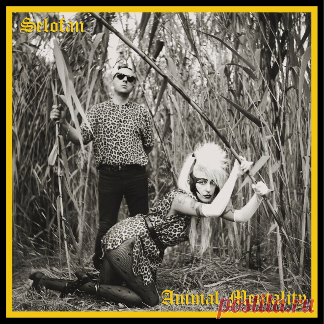Selofan - Animal Mentality (2024) 320kbps / FLAC